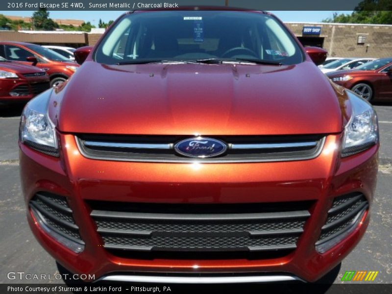 Sunset Metallic / Charcoal Black 2016 Ford Escape SE 4WD