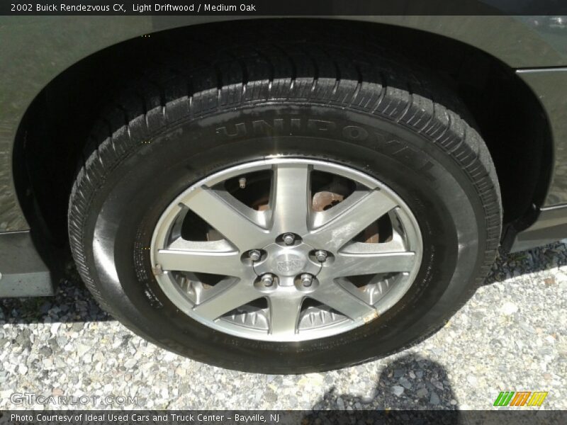 Light Driftwood / Medium Oak 2002 Buick Rendezvous CX