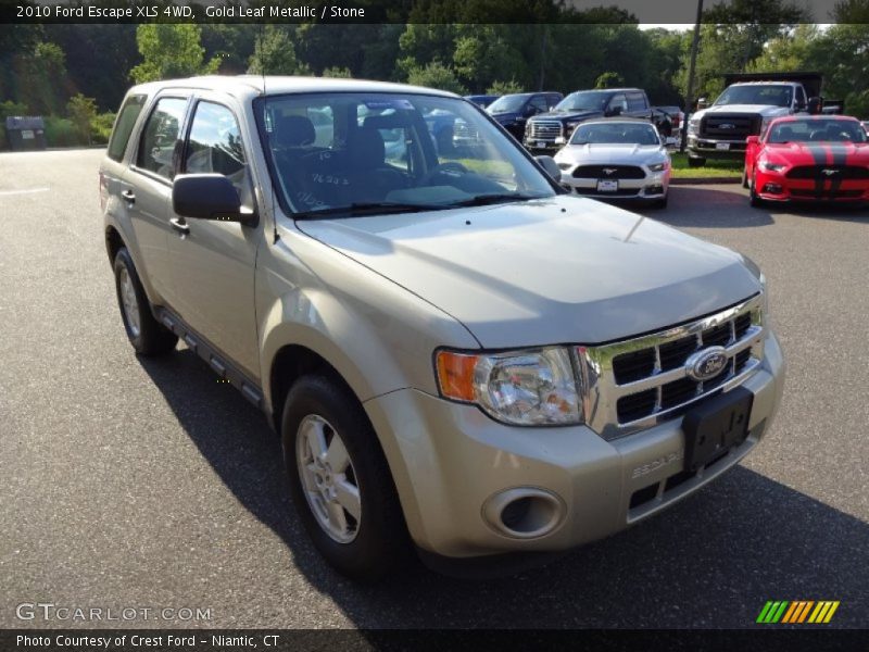 Gold Leaf Metallic / Stone 2010 Ford Escape XLS 4WD