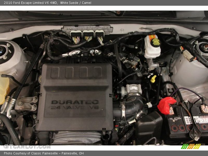 White Suede / Camel 2010 Ford Escape Limited V6 4WD