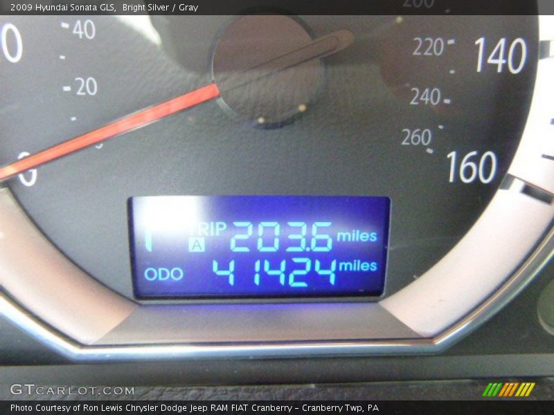 Bright Silver / Gray 2009 Hyundai Sonata GLS