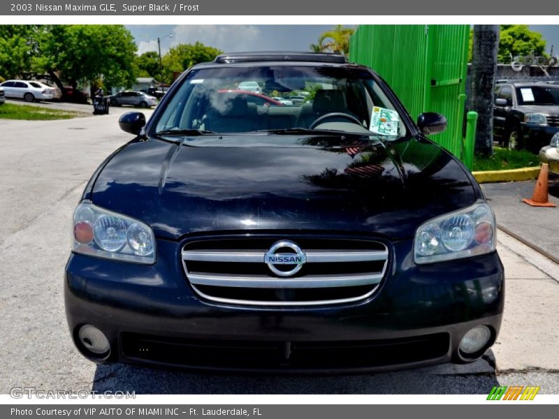 Super Black / Frost 2003 Nissan Maxima GLE