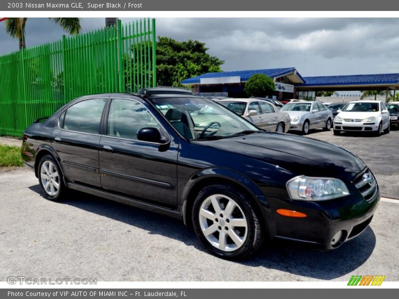 Super Black / Frost 2003 Nissan Maxima GLE