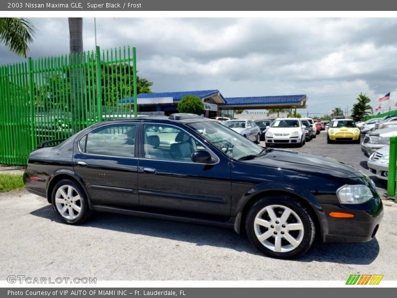 Super Black / Frost 2003 Nissan Maxima GLE