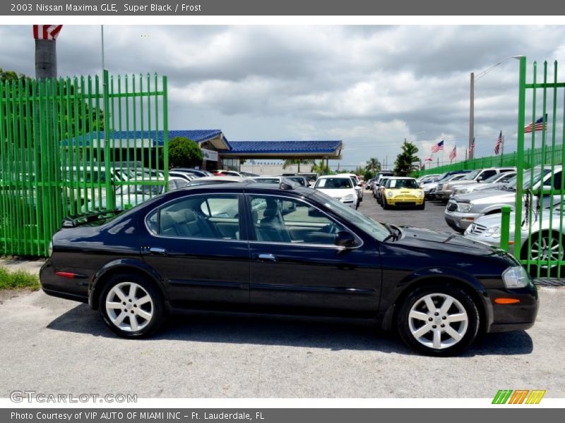 Super Black / Frost 2003 Nissan Maxima GLE