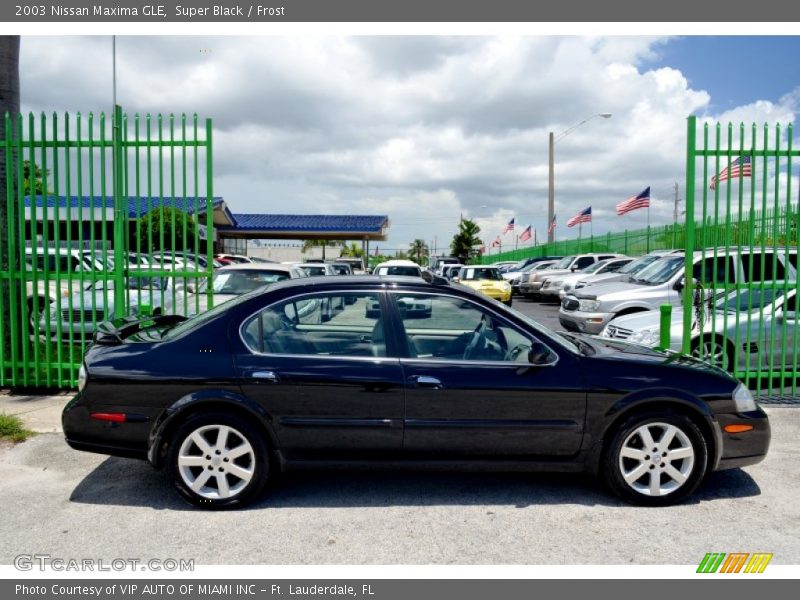Super Black / Frost 2003 Nissan Maxima GLE