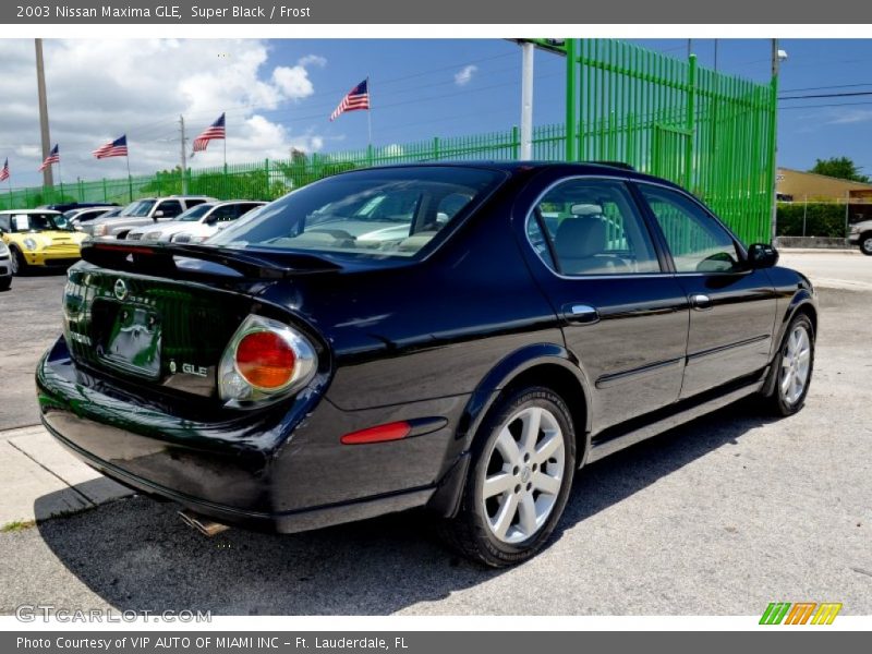 Super Black / Frost 2003 Nissan Maxima GLE