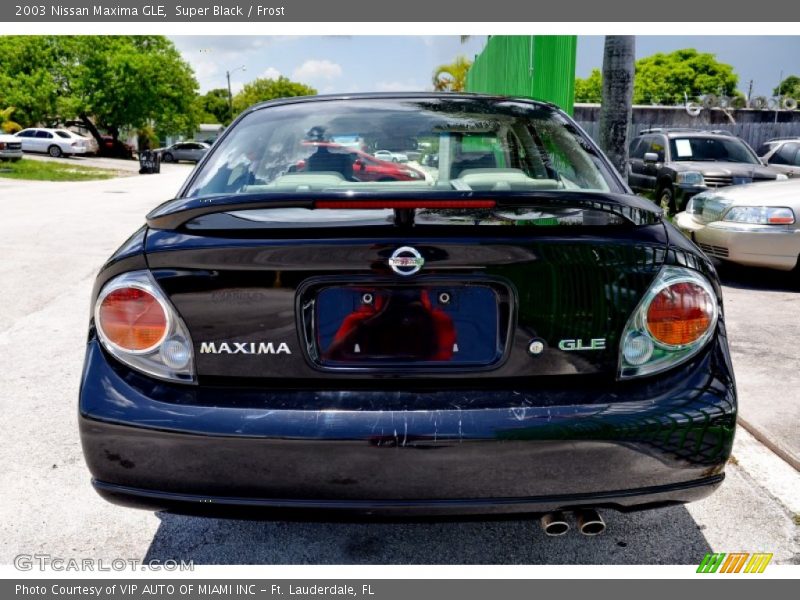 Super Black / Frost 2003 Nissan Maxima GLE