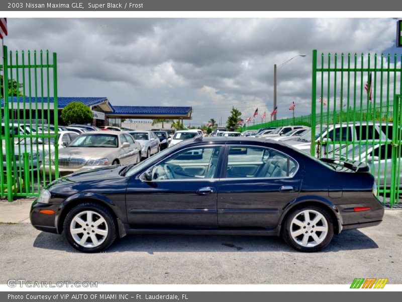 Super Black / Frost 2003 Nissan Maxima GLE