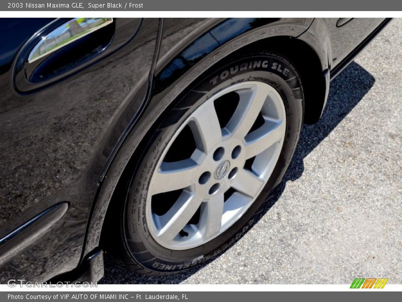 Super Black / Frost 2003 Nissan Maxima GLE