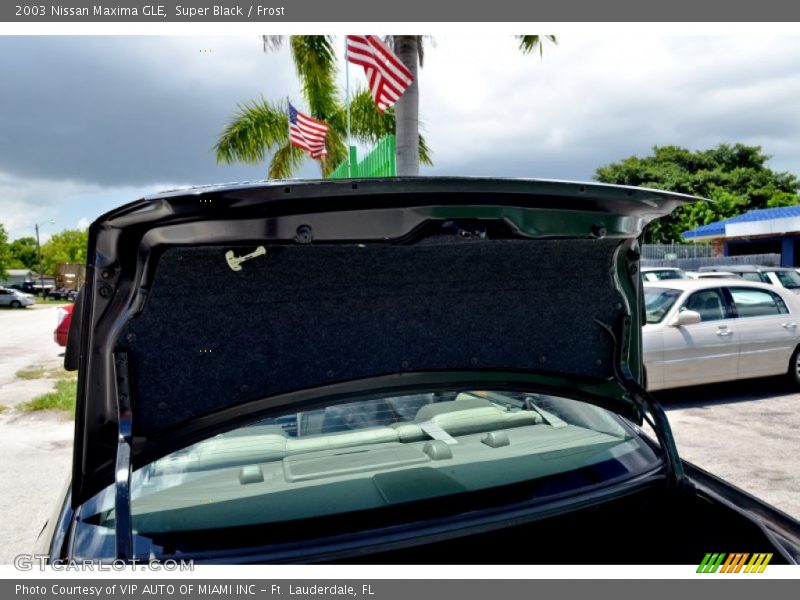 Super Black / Frost 2003 Nissan Maxima GLE