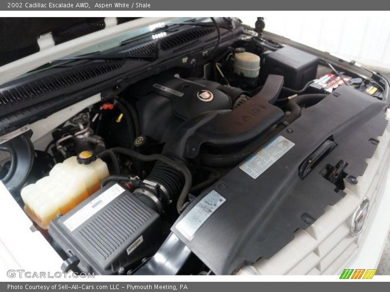 Aspen White / Shale 2002 Cadillac Escalade AWD