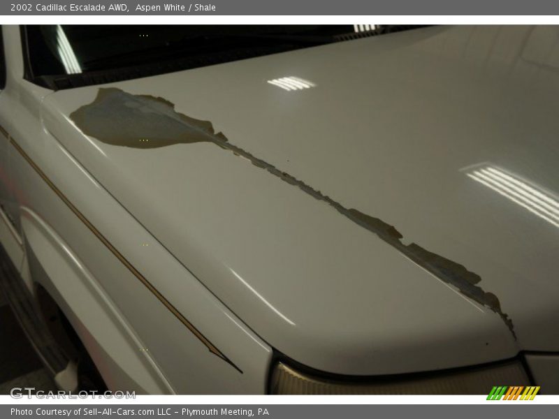 Aspen White / Shale 2002 Cadillac Escalade AWD