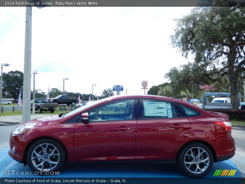 Ruby Red / Arctic White 2014 Ford Focus SE Sedan