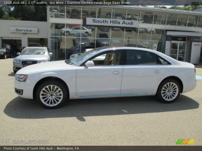 Ibis White / Diamond Stitched Velvet Beige Balao Brown 2016 Audi A8 L 3.0T quattro
