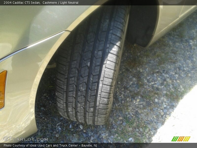 Cashmere / Light Neutral 2004 Cadillac CTS Sedan
