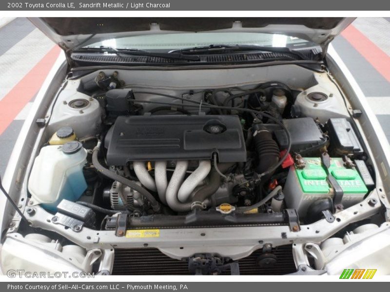 Sandrift Metallic / Light Charcoal 2002 Toyota Corolla LE
