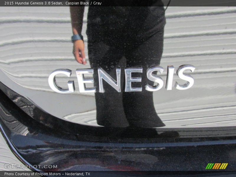 Caspian Black / Gray 2015 Hyundai Genesis 3.8 Sedan