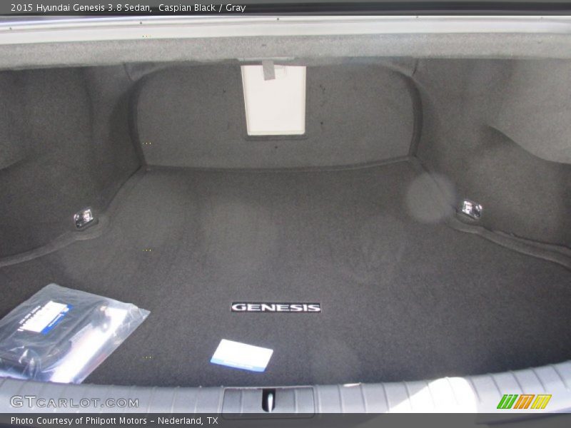Caspian Black / Gray 2015 Hyundai Genesis 3.8 Sedan