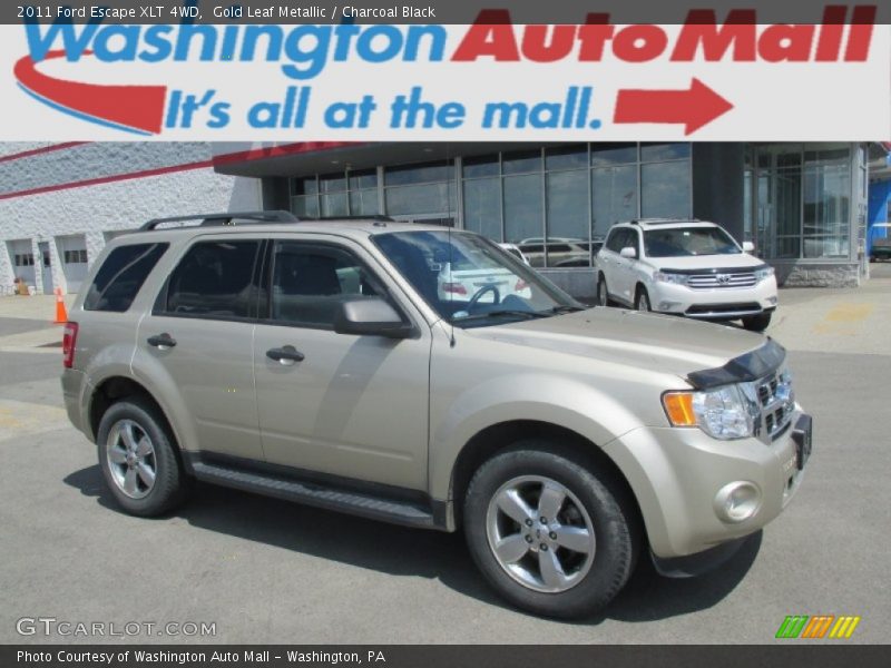 Gold Leaf Metallic / Charcoal Black 2011 Ford Escape XLT 4WD