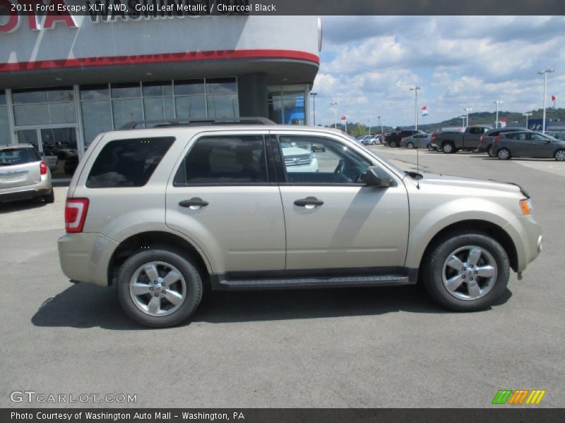 Gold Leaf Metallic / Charcoal Black 2011 Ford Escape XLT 4WD