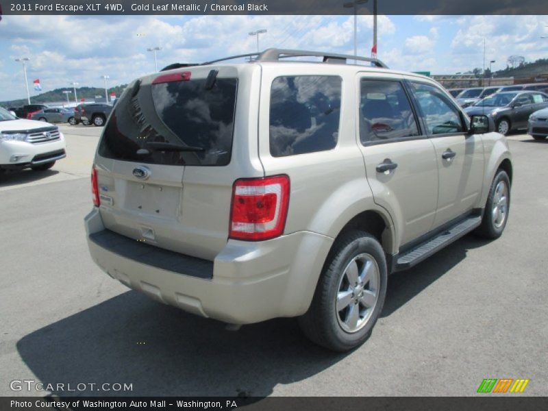 Gold Leaf Metallic / Charcoal Black 2011 Ford Escape XLT 4WD