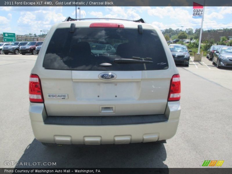 Gold Leaf Metallic / Charcoal Black 2011 Ford Escape XLT 4WD