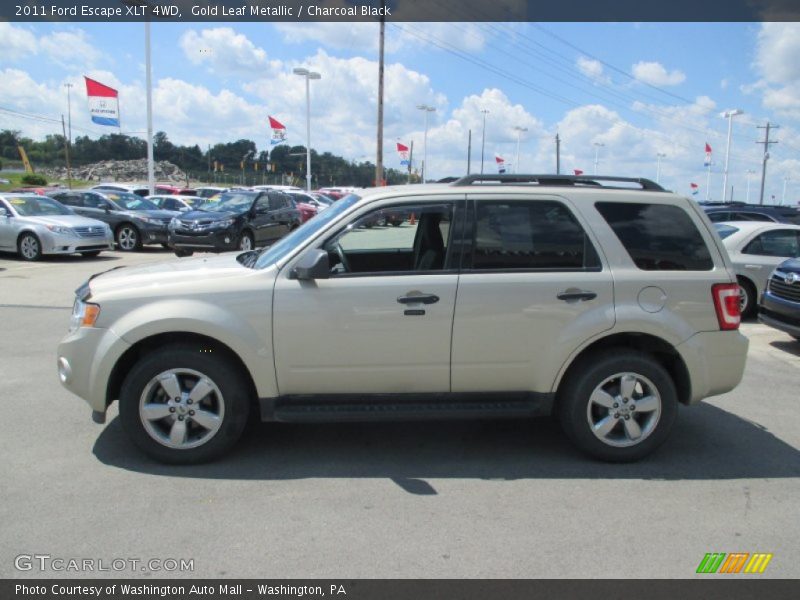 Gold Leaf Metallic / Charcoal Black 2011 Ford Escape XLT 4WD
