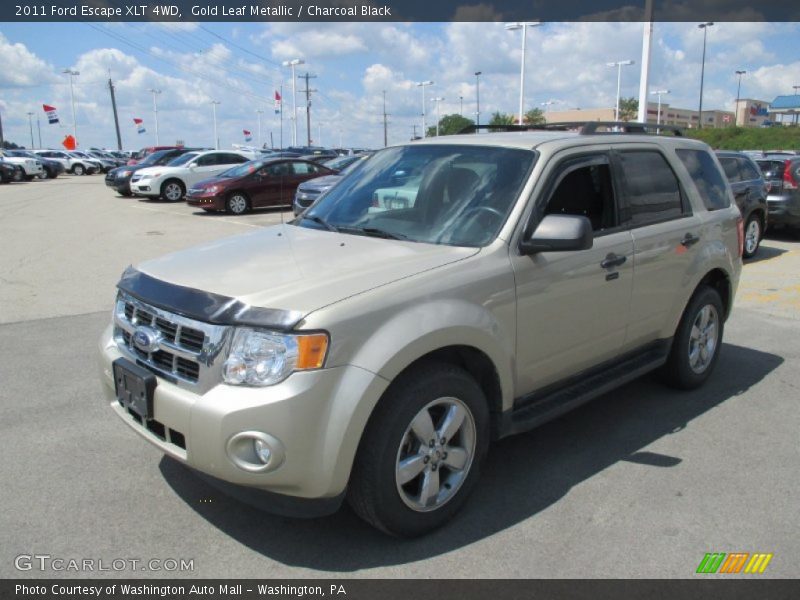 Gold Leaf Metallic / Charcoal Black 2011 Ford Escape XLT 4WD