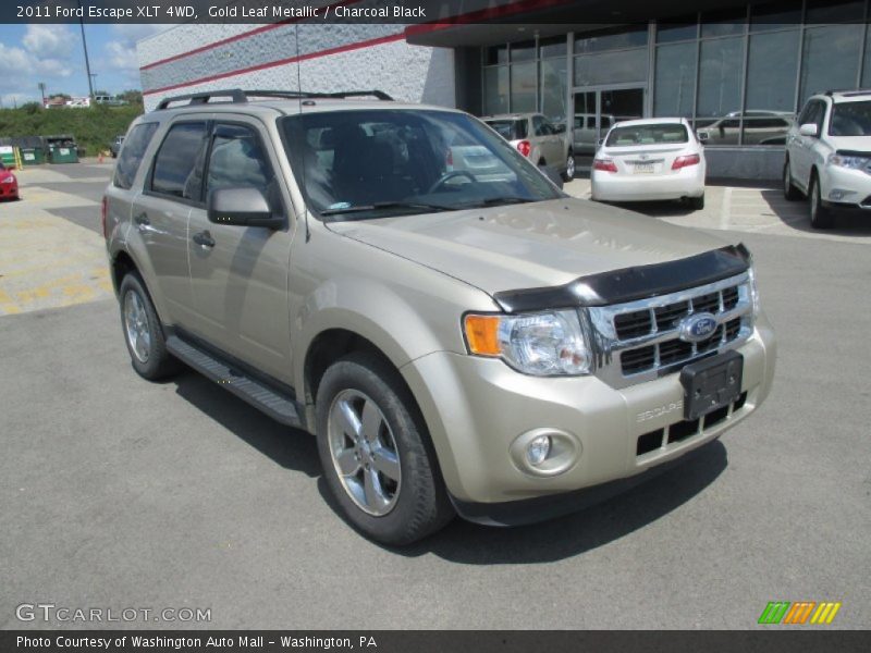 Gold Leaf Metallic / Charcoal Black 2011 Ford Escape XLT 4WD