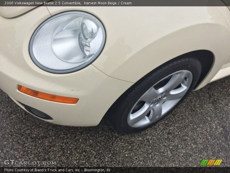 Harvest Moon Beige / Cream 2006 Volkswagen New Beetle 2.5 Convertible