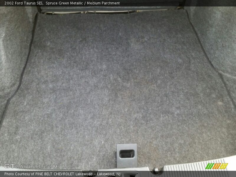 Spruce Green Metallic / Medium Parchment 2002 Ford Taurus SES
