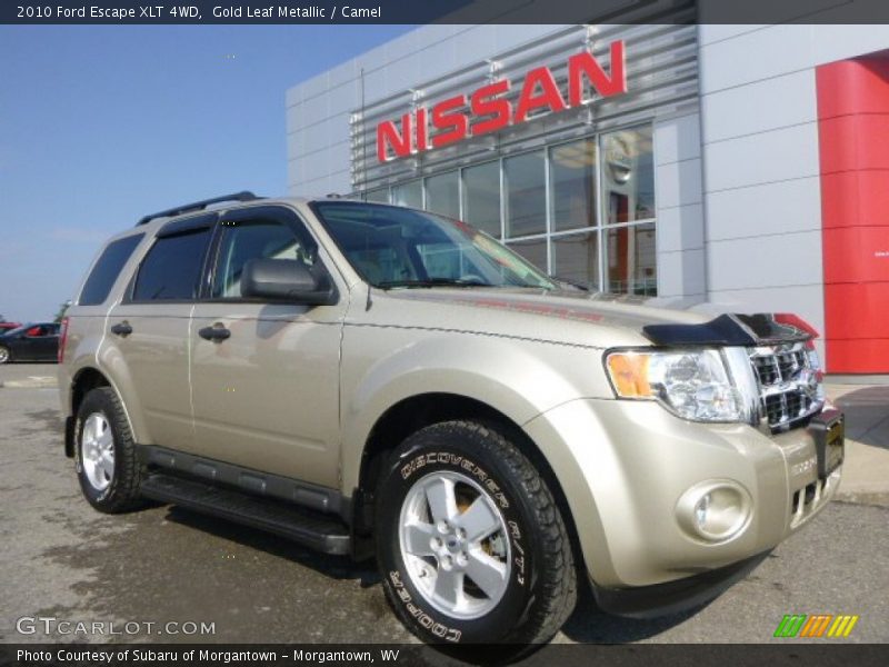 Gold Leaf Metallic / Camel 2010 Ford Escape XLT 4WD