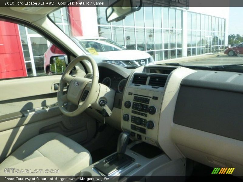 Gold Leaf Metallic / Camel 2010 Ford Escape XLT 4WD