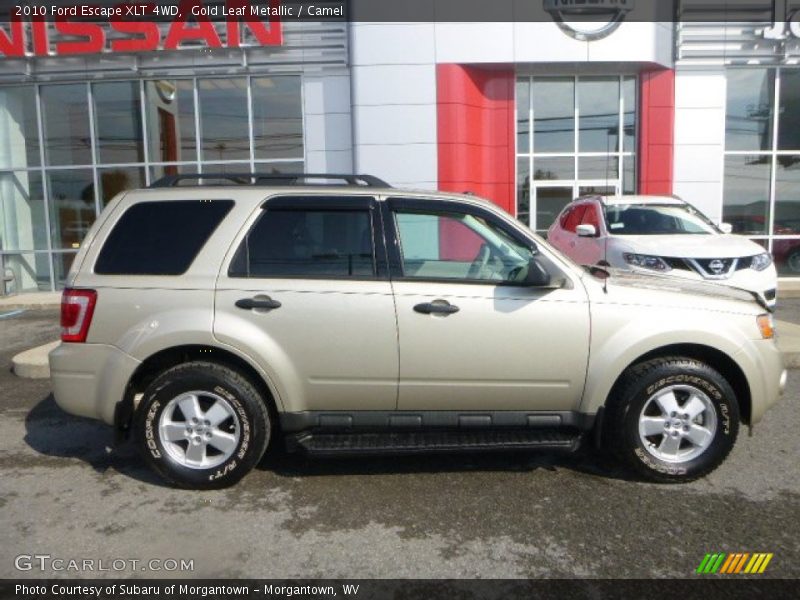 Gold Leaf Metallic / Camel 2010 Ford Escape XLT 4WD