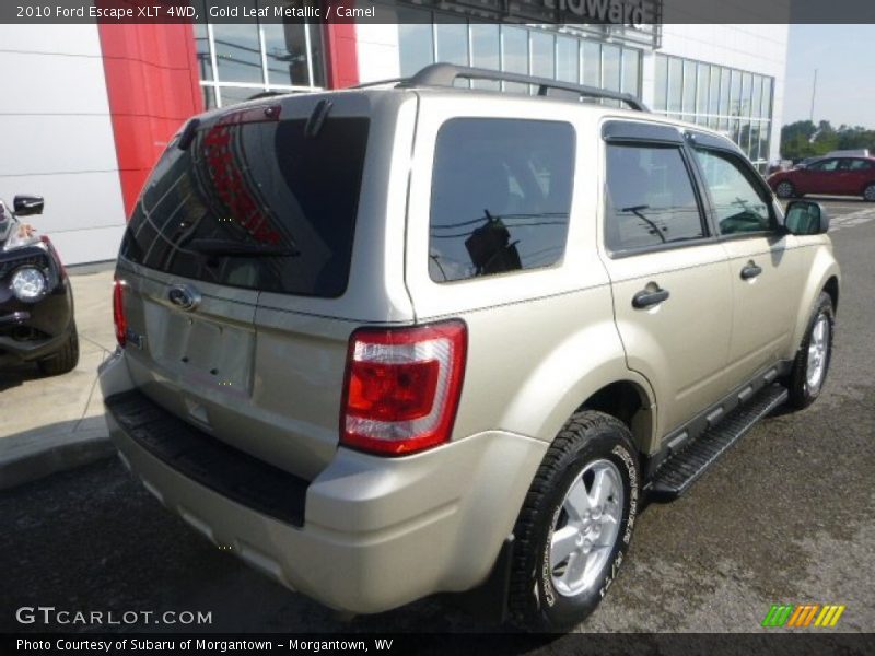 Gold Leaf Metallic / Camel 2010 Ford Escape XLT 4WD