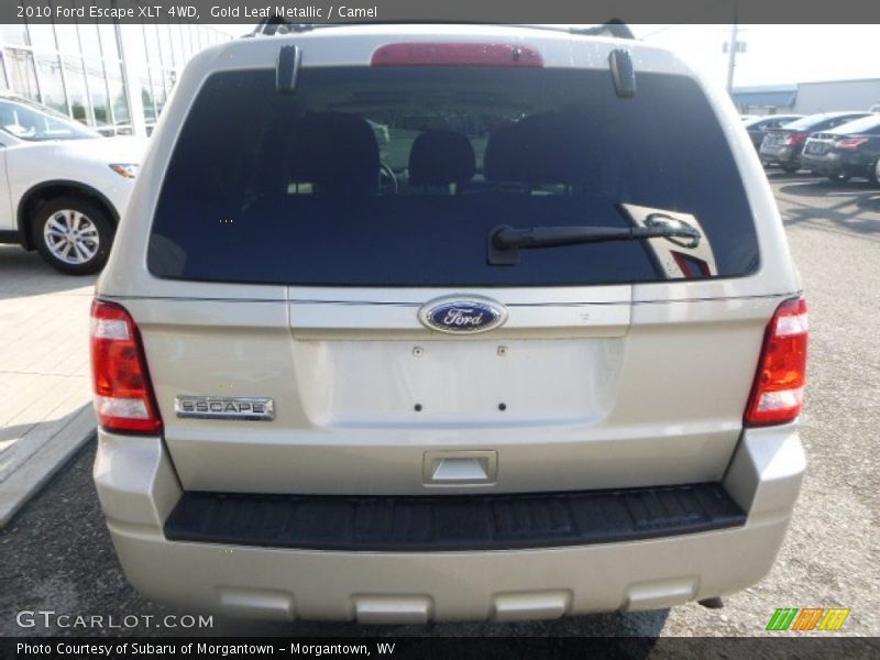 Gold Leaf Metallic / Camel 2010 Ford Escape XLT 4WD