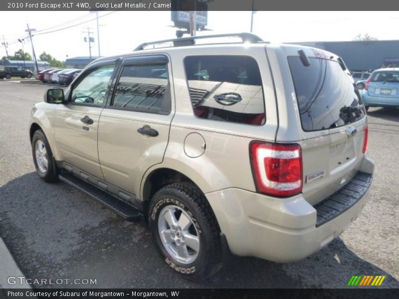 Gold Leaf Metallic / Camel 2010 Ford Escape XLT 4WD