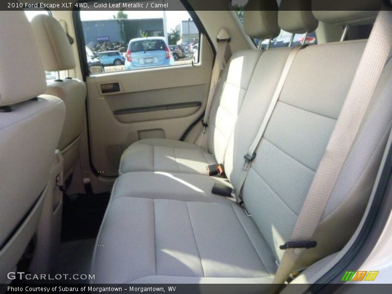 Gold Leaf Metallic / Camel 2010 Ford Escape XLT 4WD