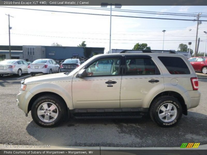 Gold Leaf Metallic / Camel 2010 Ford Escape XLT 4WD
