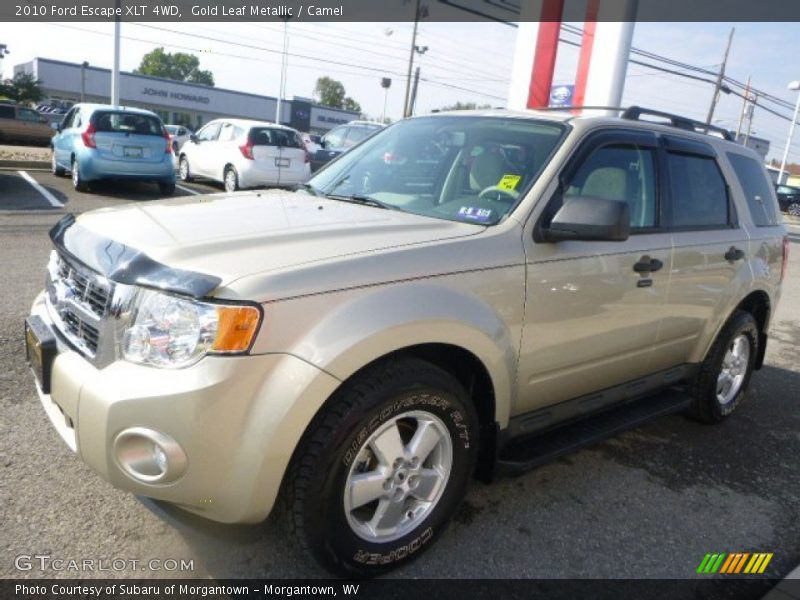 Gold Leaf Metallic / Camel 2010 Ford Escape XLT 4WD