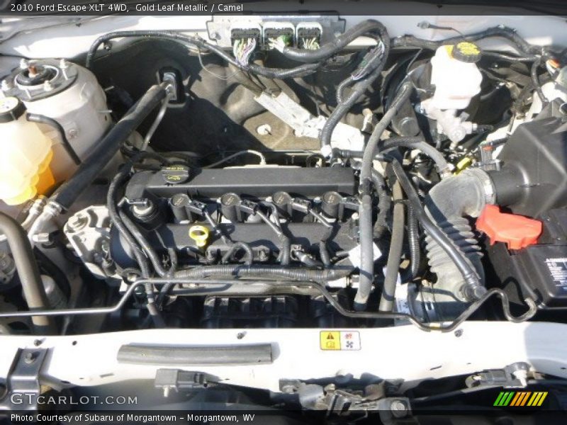 Gold Leaf Metallic / Camel 2010 Ford Escape XLT 4WD