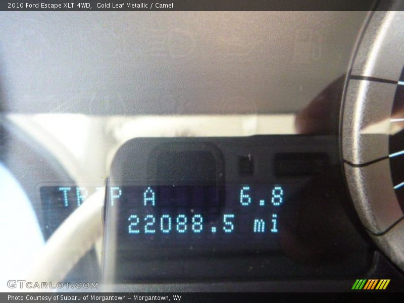 Gold Leaf Metallic / Camel 2010 Ford Escape XLT 4WD