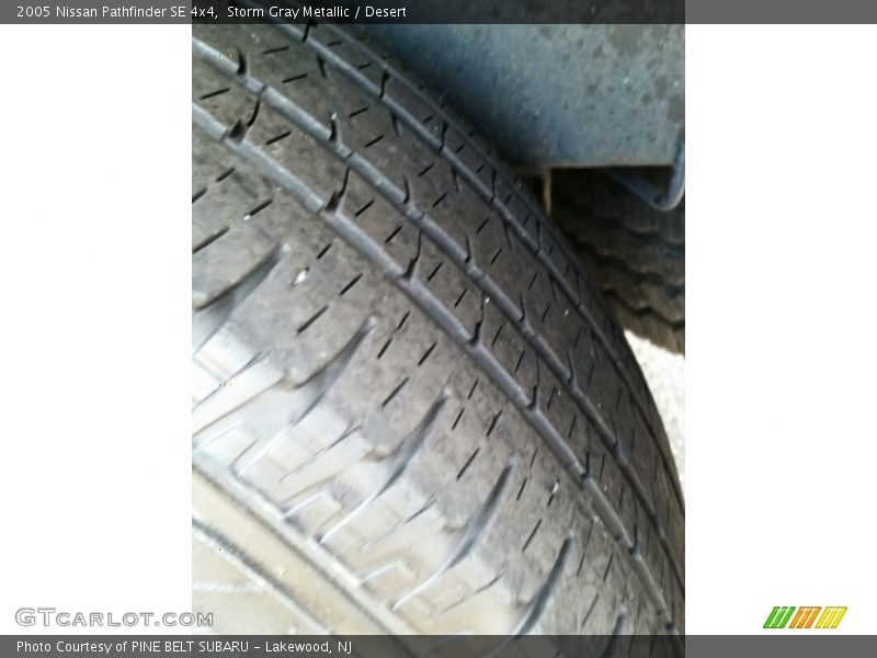 Storm Gray Metallic / Desert 2005 Nissan Pathfinder SE 4x4