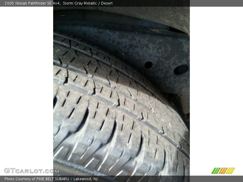 Storm Gray Metallic / Desert 2005 Nissan Pathfinder SE 4x4
