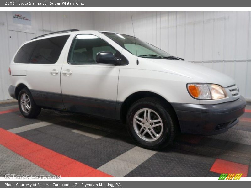 Super White / Gray 2002 Toyota Sienna LE