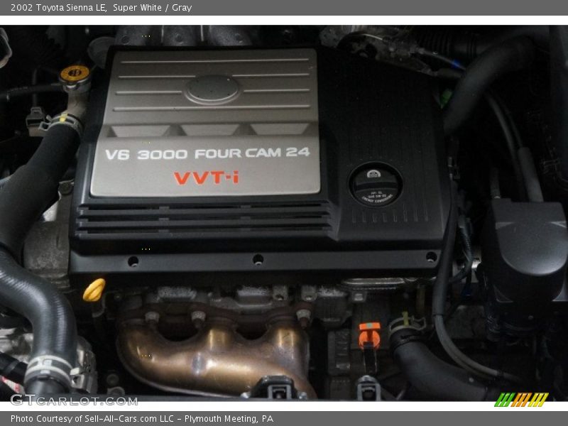 Super White / Gray 2002 Toyota Sienna LE