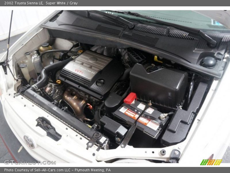 Super White / Gray 2002 Toyota Sienna LE