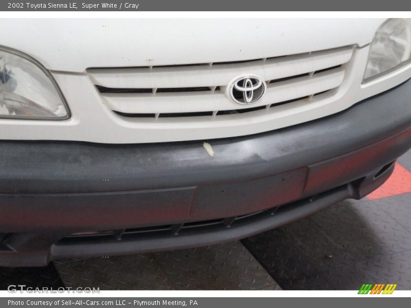 Super White / Gray 2002 Toyota Sienna LE