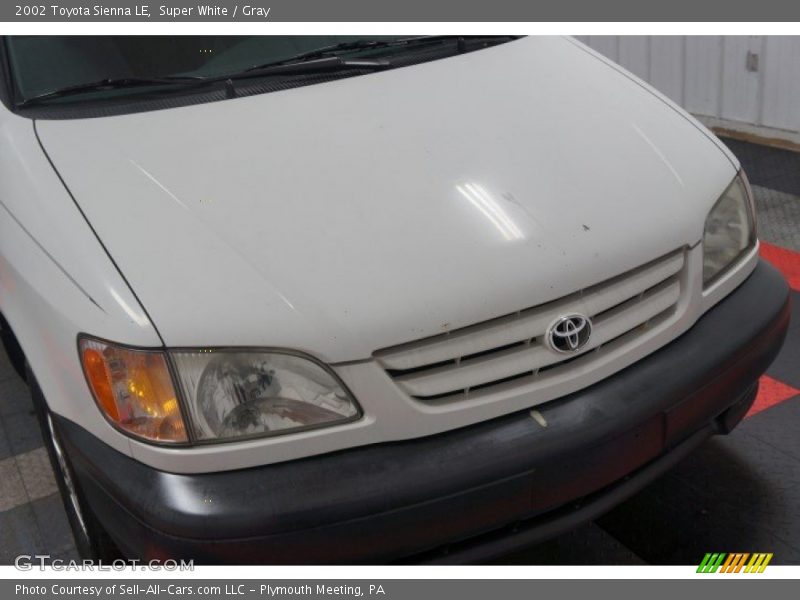 Super White / Gray 2002 Toyota Sienna LE